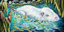 Load image into Gallery viewer, "Meaningful Messengers" paper print