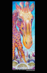 "Giraffa 1772"